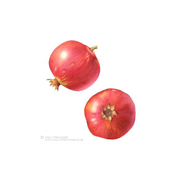 pomegranate-e1623328189548